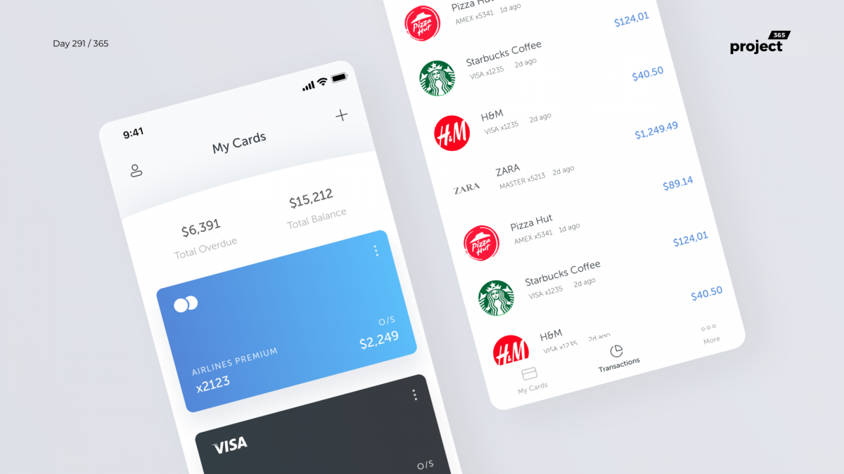 Day 291 – My Credit Cards – App Concept