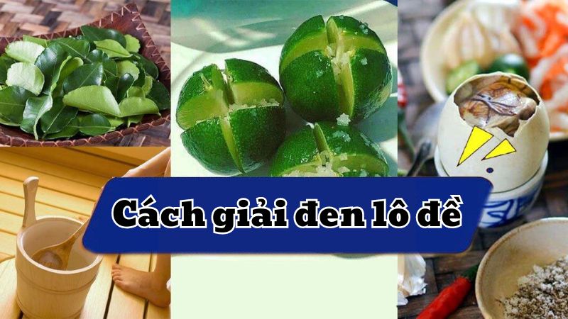 huong dan giai den lo de hieu qua co the ban chua biet 2429 2 1 bắn cá siêu thị
