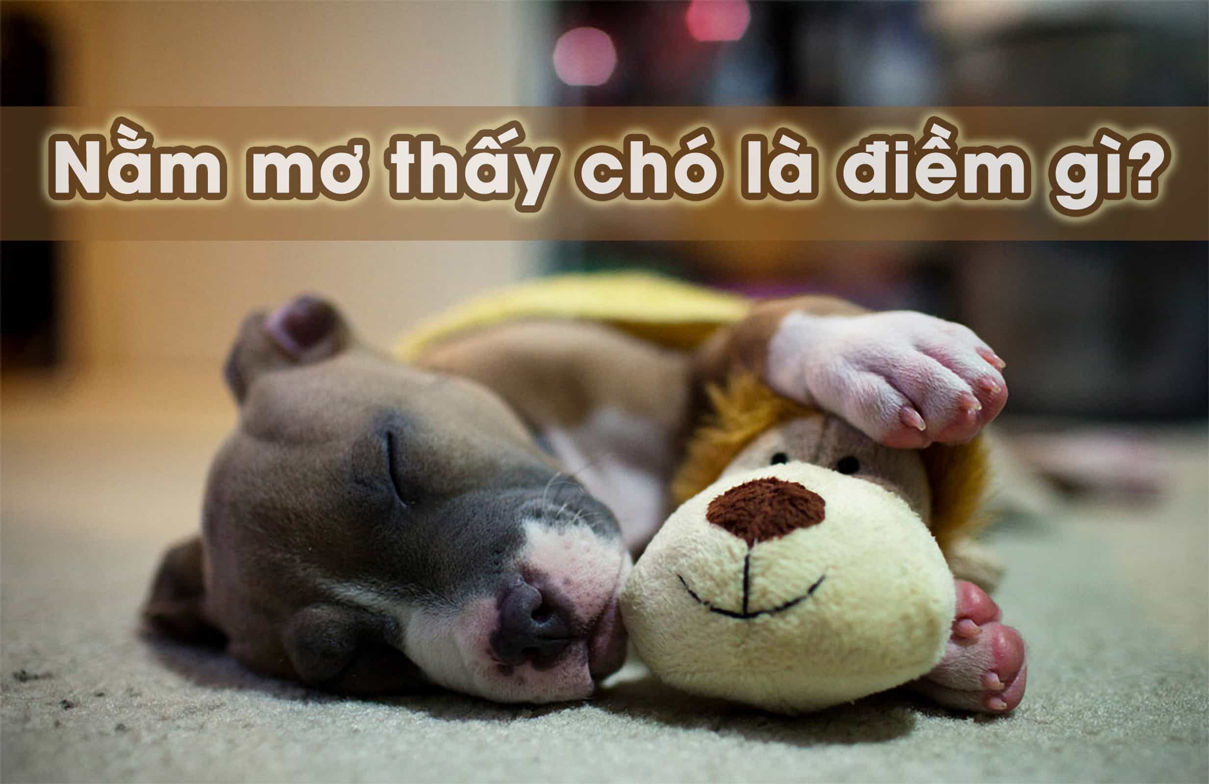 256 xì tố online