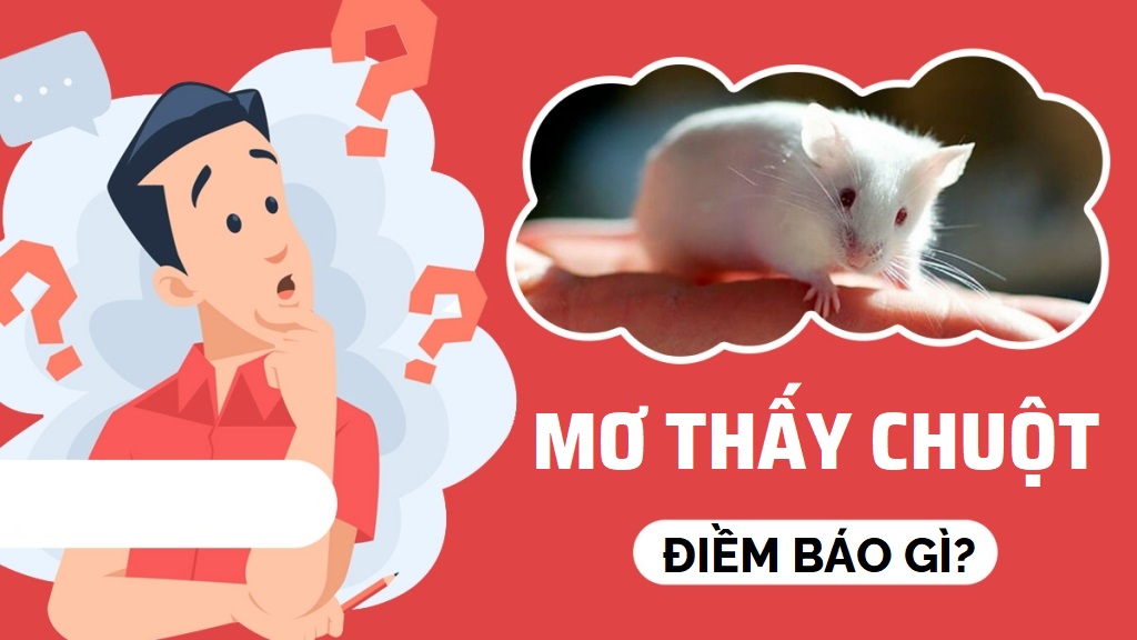 mơ thấy chuột Nằm Mơ Thấy Chuột Là Điềm Gì? Luận Giải Ý Nghĩa Và Con Số May Mắn Từ 68GB