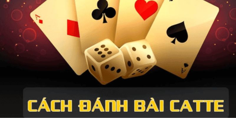 Hướng Dẫn Chơi Bài Catte Chi Tiết Nhất Tại 68GB