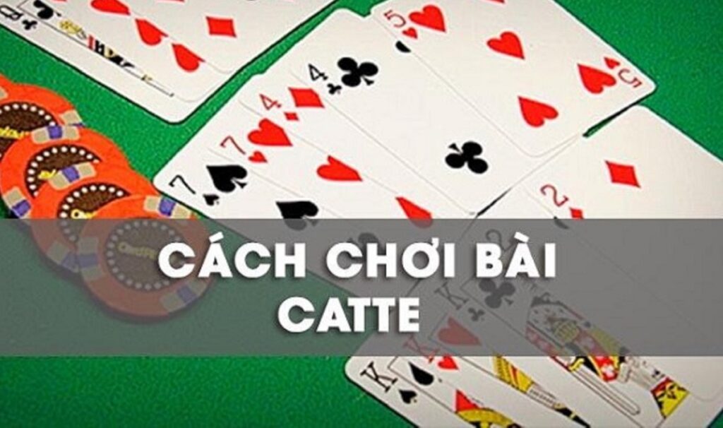 huong dan luat choi bai catte don gian nhat cho nguoi moi 4525