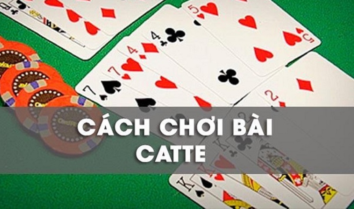 huong dan luat choi bai catte don gian nhat cho nguoi moi 4525 bảo mật