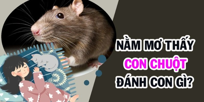 mo thay chuot danh con gi giai ma 2 Baccarat Kim tài